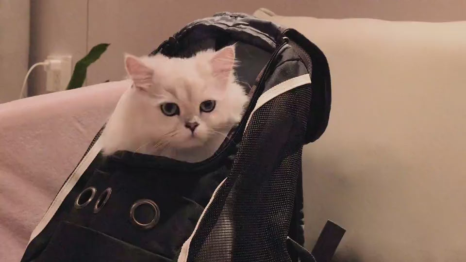 Pet Backpack Cat Bag Breathable Cat Space Bag